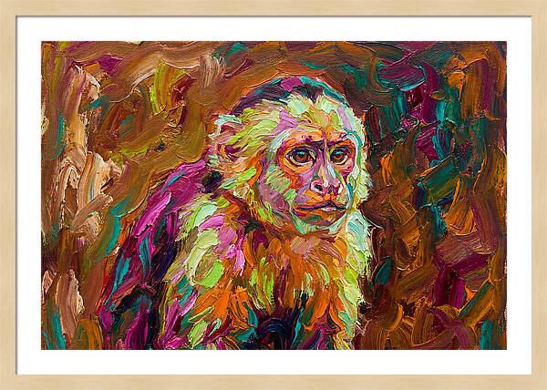Capuchin Monkey Expressionism