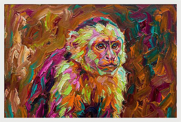 Capuchin Monkey Expressionism