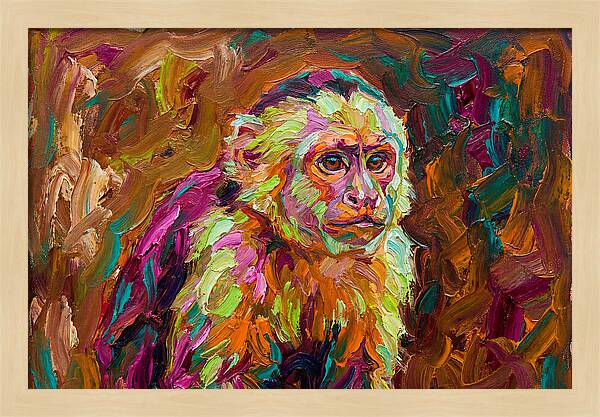 Capuchin Monkey Expressionism