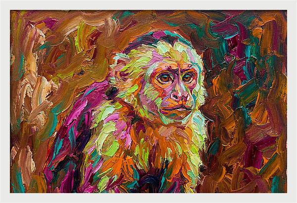 Capuchin Monkey Expressionism
