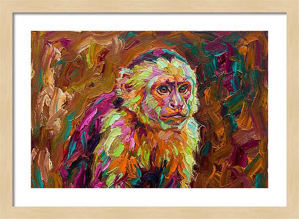 Capuchin Monkey Expressionism