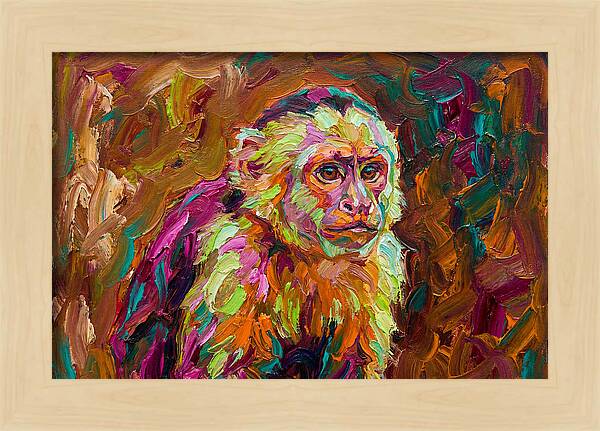 Capuchin Monkey Expressionism