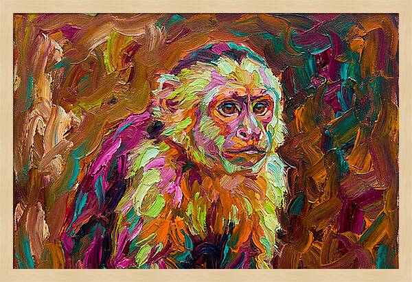 Capuchin Monkey Expressionism