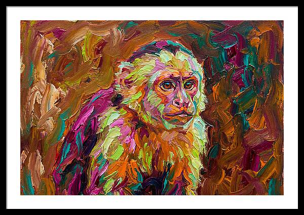Capuchin Monkey Expressionism