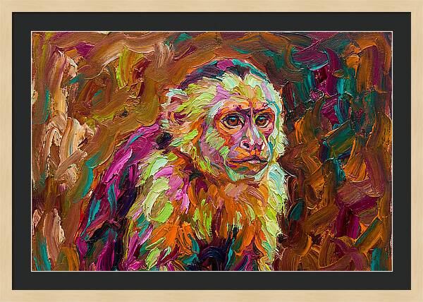 Capuchin Monkey Expressionism