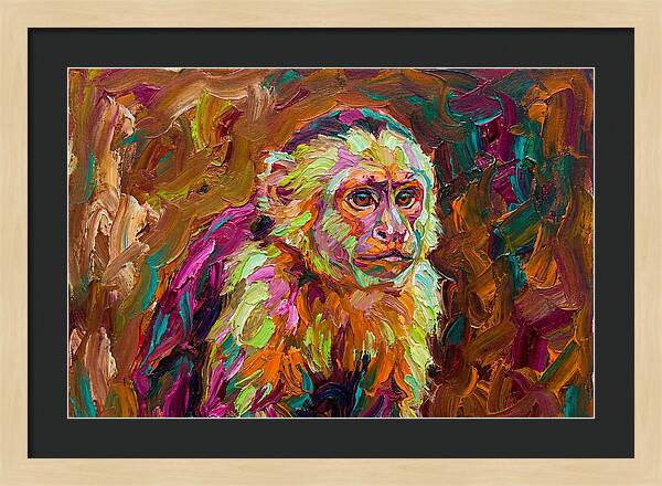 Capuchin Monkey Expressionism