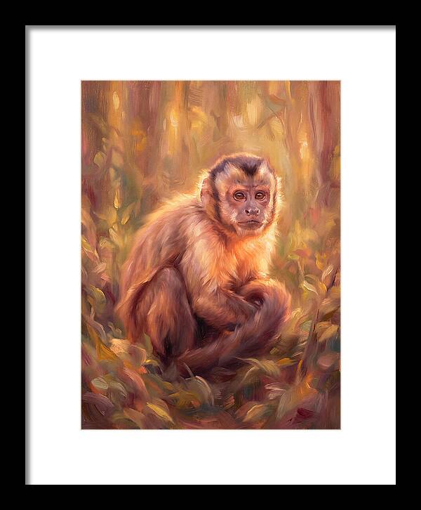Capuchin Monkey In Forest