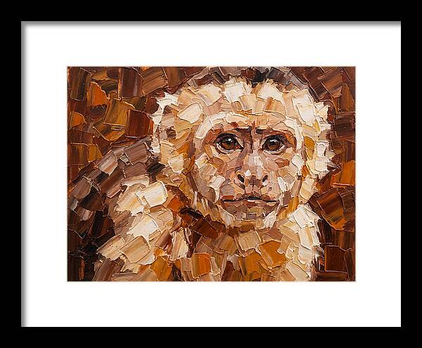 Capuchin Monkey Portrait
