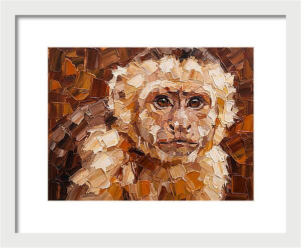 Capuchin Monkey Portrait