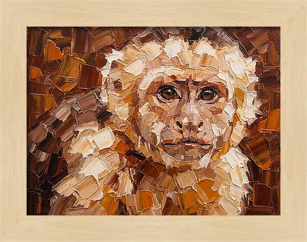 Capuchin Monkey Portrait
