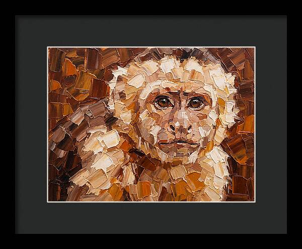 Capuchin Monkey Portrait