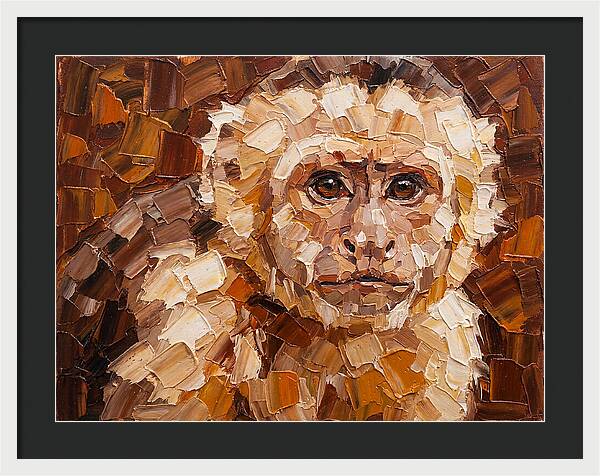 Capuchin Monkey Portrait