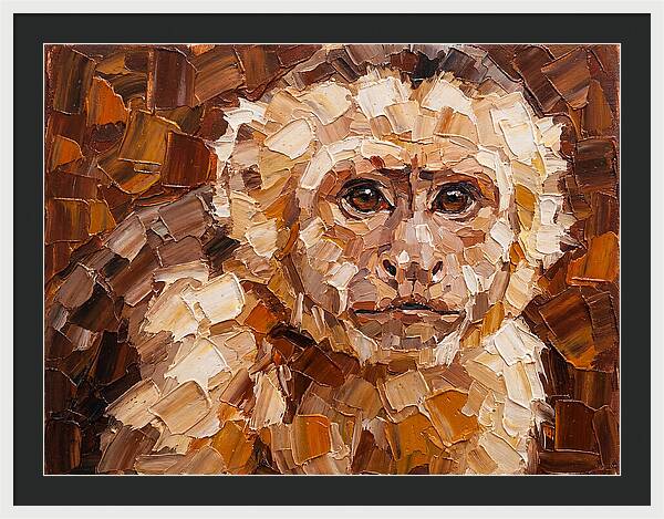 Capuchin Monkey Portrait