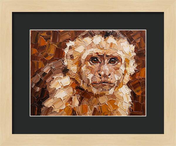 Capuchin Monkey Portrait