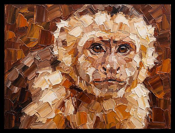 Capuchin Monkey Portrait