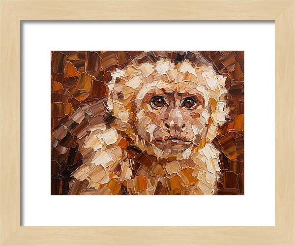 Capuchin Monkey Portrait