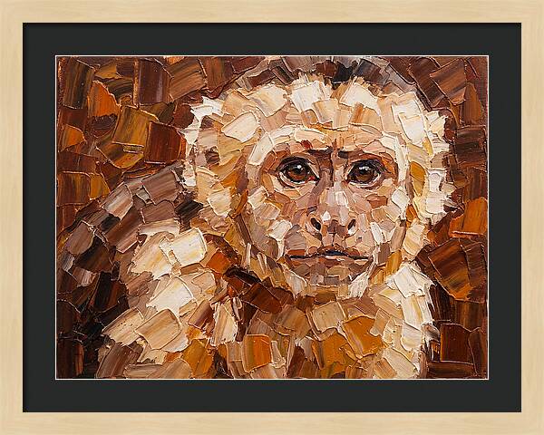 Capuchin Monkey Portrait