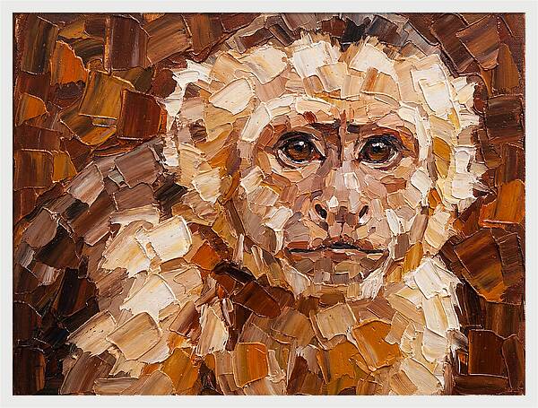 Capuchin Monkey Portrait