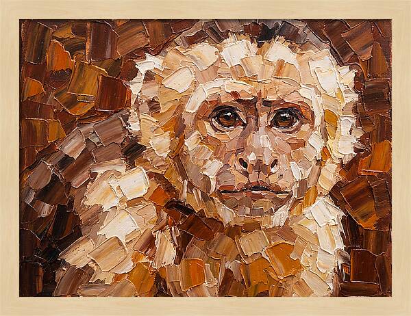 Capuchin Monkey Portrait
