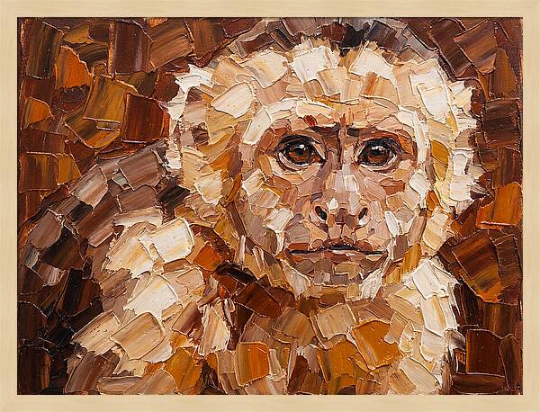 Capuchin Monkey Portrait