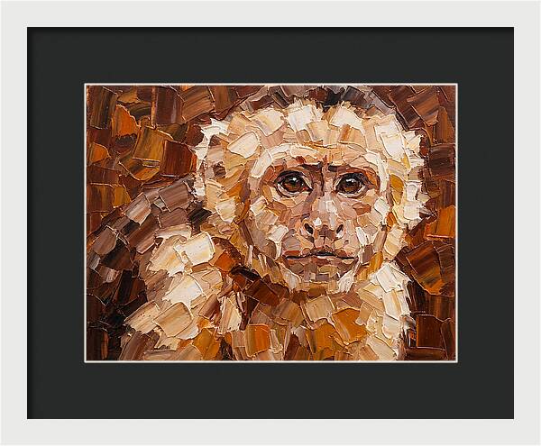 Capuchin Monkey Portrait
