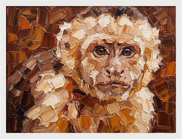 Capuchin Monkey Portrait