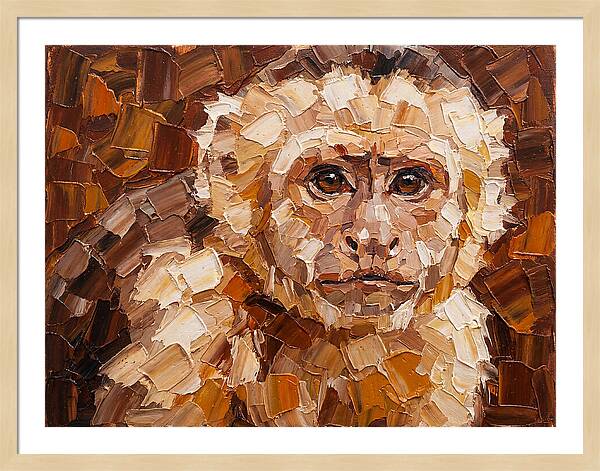 Capuchin Monkey Portrait