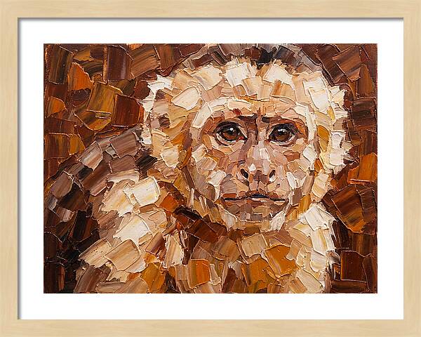 Capuchin Monkey Portrait
