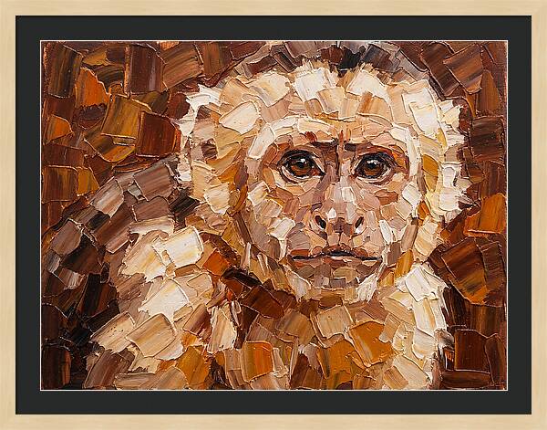 Capuchin Monkey Portrait