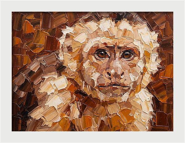 Capuchin Monkey Portrait