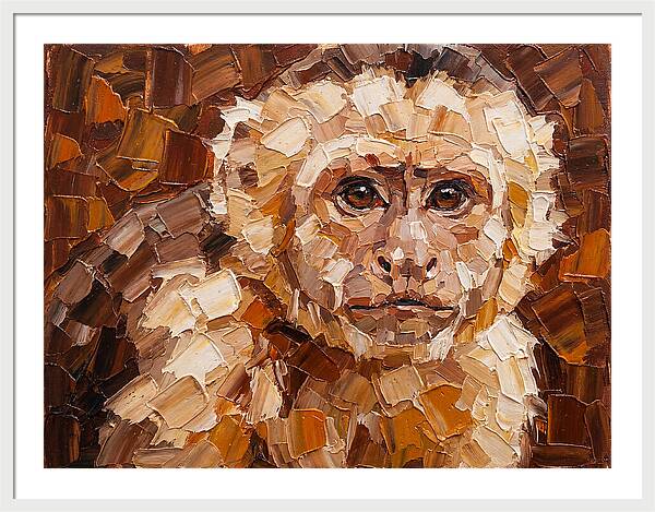 Capuchin Monkey Portrait