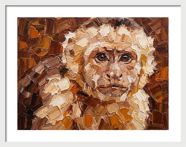 Capuchin Monkey Portrait