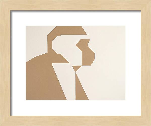 Capuchin Monkey Silhouette