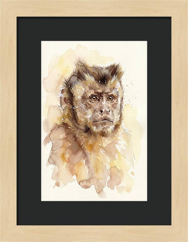 Capuchin Monkey Watercolor Portrait