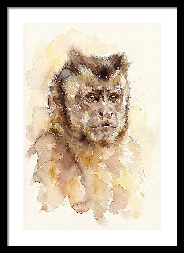 Capuchin Monkey Watercolor Portrait