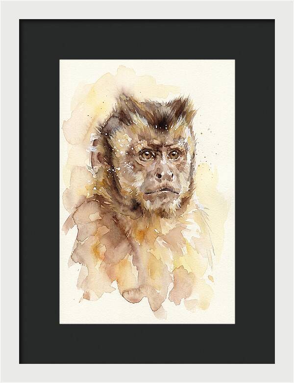 Capuchin Monkey Watercolor Portrait