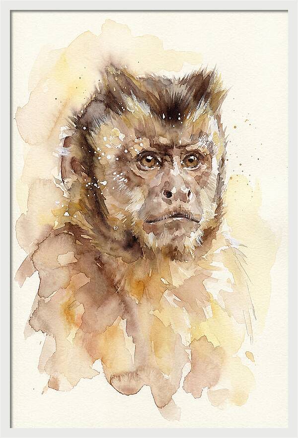 Capuchin Monkey Watercolor Portrait