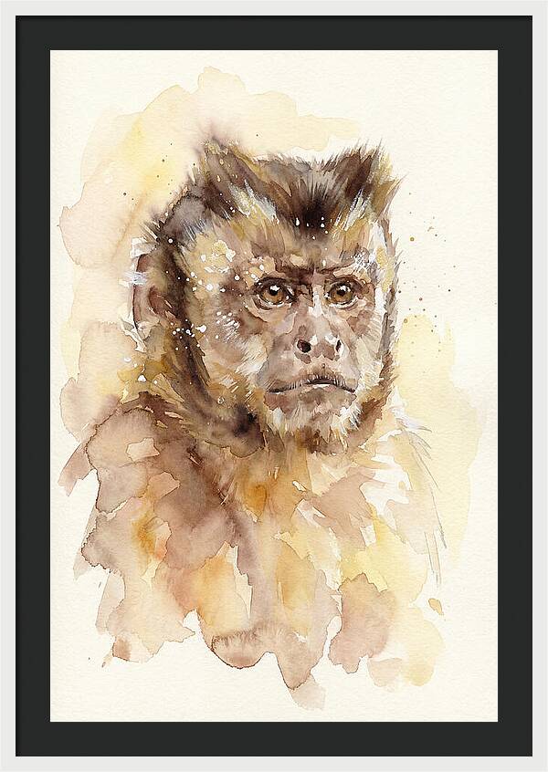 Capuchin Monkey Watercolor Portrait
