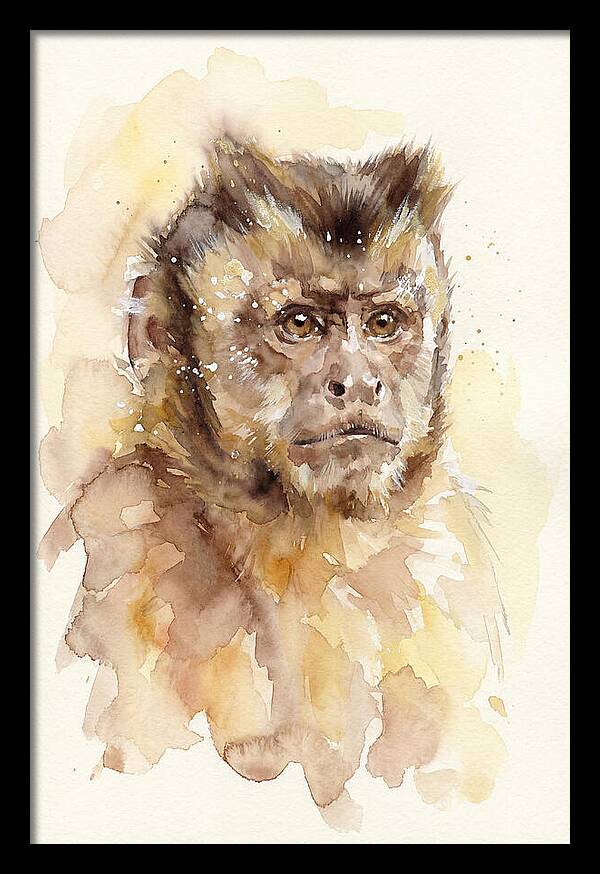 Capuchin Monkey Watercolor Portrait