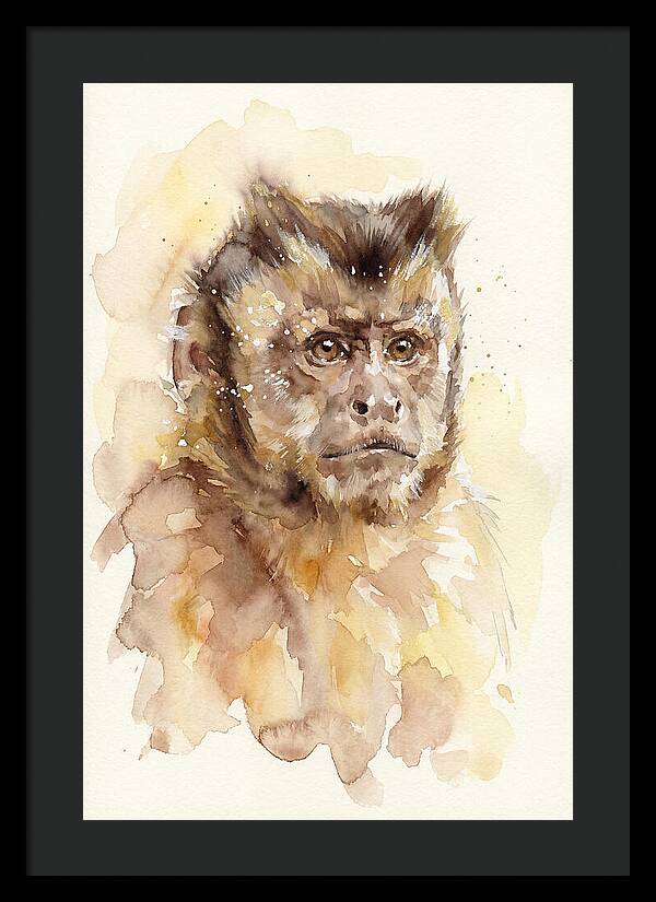 Capuchin Monkey Watercolor Portrait