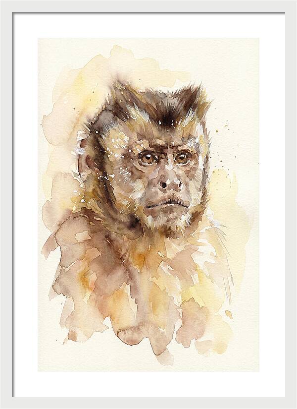 Capuchin Monkey Watercolor Portrait
