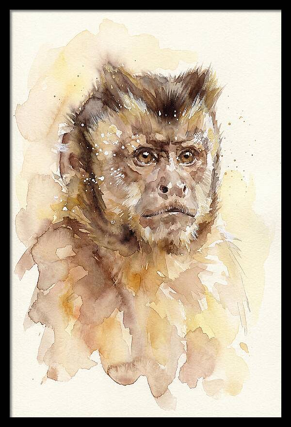 Capuchin Monkey Watercolor Portrait