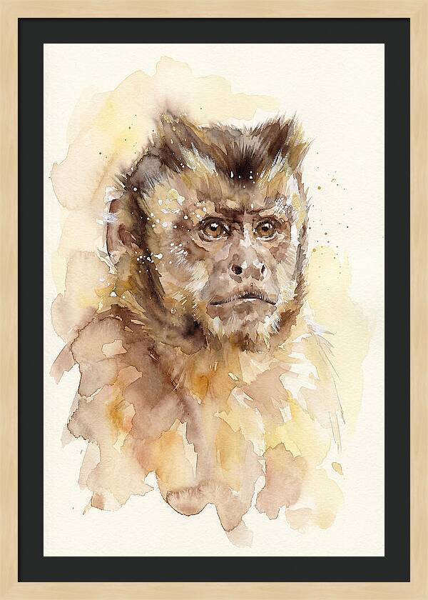 Capuchin Monkey Watercolor Portrait