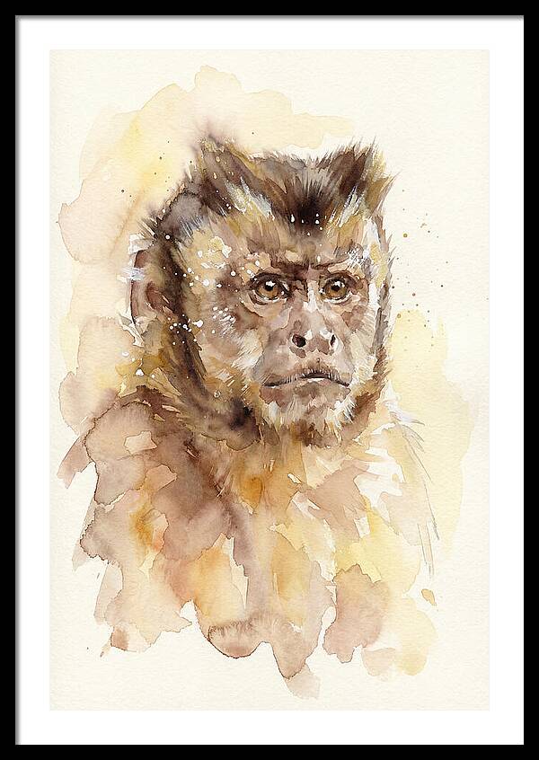 Capuchin Monkey Watercolor Portrait