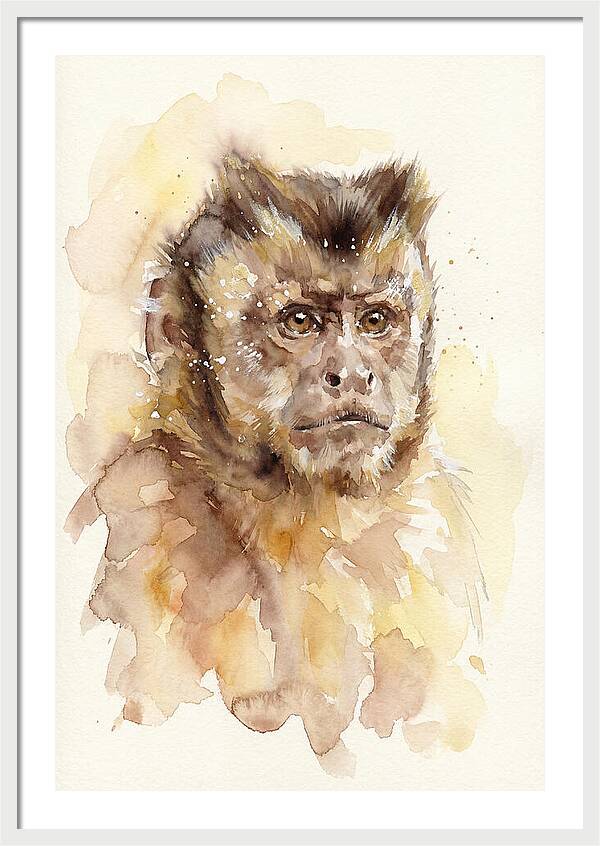 Capuchin Monkey Watercolor Portrait