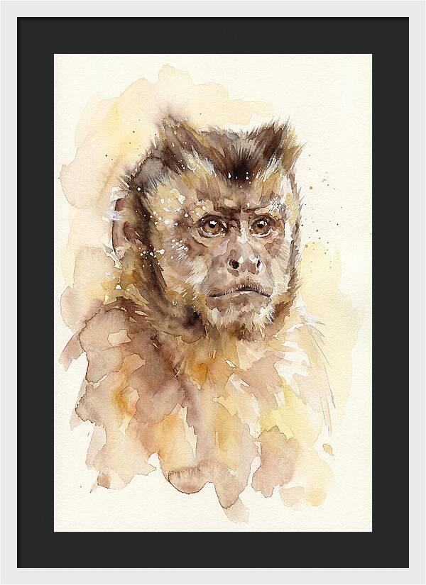 Capuchin Monkey Watercolor Portrait