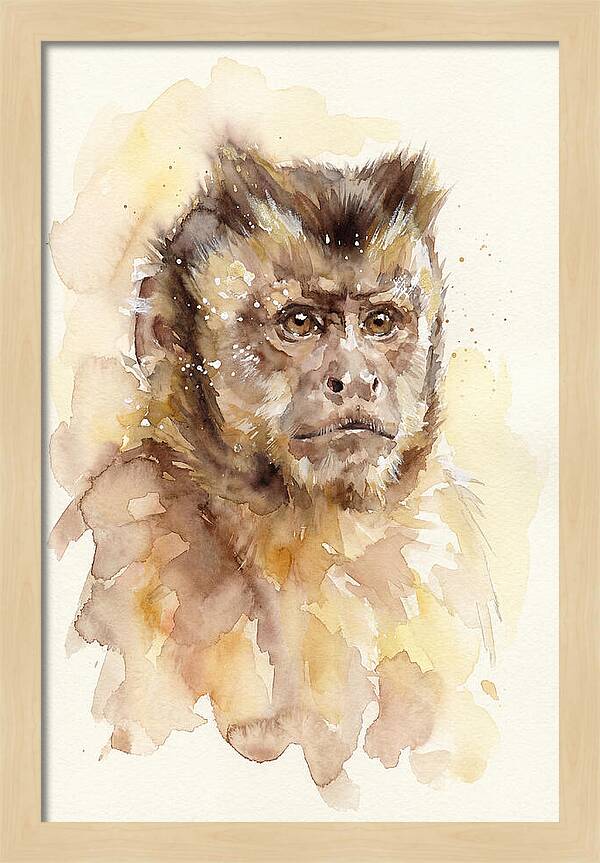 Capuchin Monkey Watercolor Portrait