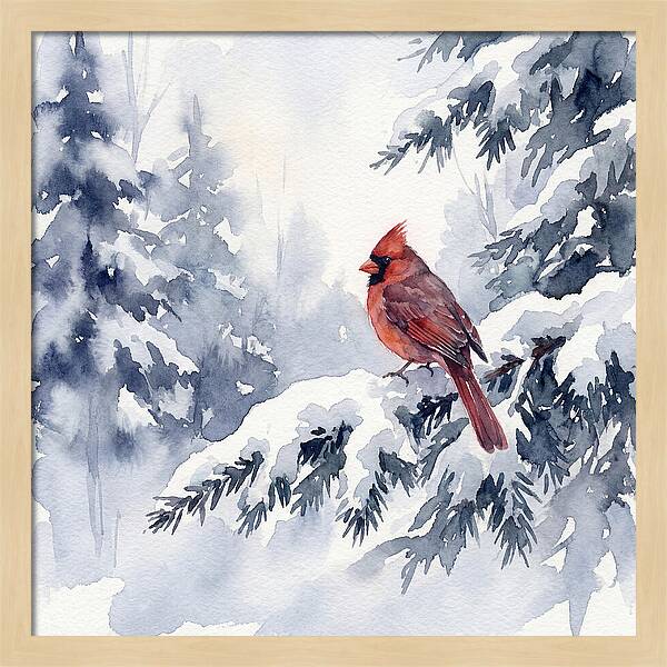 Cardinal In Winter Wonderland