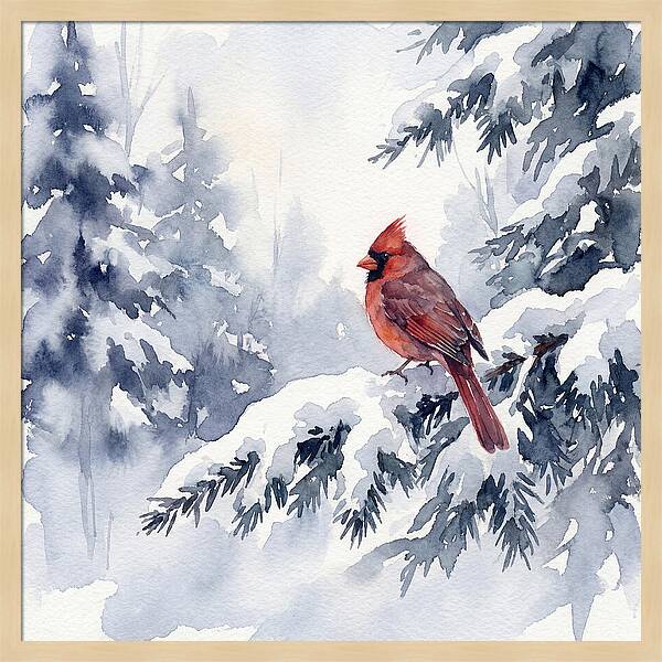 Cardinal In Winter Wonderland