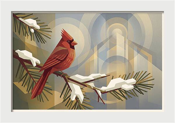 Cardinal On Snowy Pine Branch